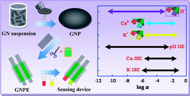 Graphical abstract: High-performance flexible potentiometric sensing devices using free-standing graphene paper