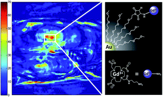 Graphical abstract: Water-soluble gold nanoparticles (AuNP) functionalized with a gadolinium(iii) chelate via Michael addition for use as a MRI contrast agent
