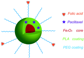 Graphical abstract: Engineering magnetic-molecular sequential targeting nanoparticles for anti-cancer therapy