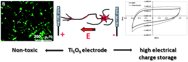 Graphical abstract: Physico-chemical properties of the Ti5O9 Magneli phase with potential application as a neural stimulation electrode