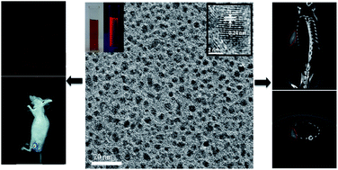 Graphical abstract: Glutathione-capped fluorescent gold nanoclusters for dual-modal fluorescence/X-ray computed tomography imaging