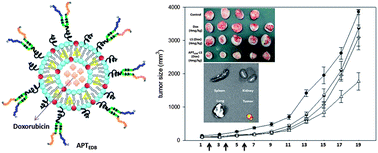 Graphical abstract: Aptide-conjugated liposome targeting tumor-associated fibronectin for glioma therapy