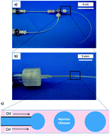 Graphical abstract: Capturing rare cells from blood using a packed bed of custom-synthesized chitosan microparticles