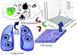 Graphical abstract: An e-nose made of carbon nanotube based quantum resistive sensors for the detection of eighteen polar/nonpolar VOC biomarkers of lung cancer