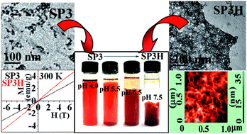 Graphical abstract: Synthesis of 5′-GMP-mediated porous hydrogel containing β-FeOOH nanostructures: optimization of its morphology, optical and magnetic properties