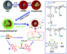 Graphical abstract: Visible-light degradable polymer coated hollow mesoporous silica nanoparticles for controlled drug release and cell imaging