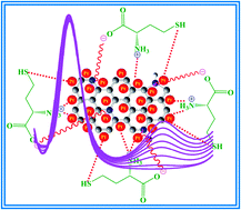 Graphical abstract: Nitrogen doped graphene nanosheet supported platinum nanoparticles as high performance electrochemical homocysteine biosensors