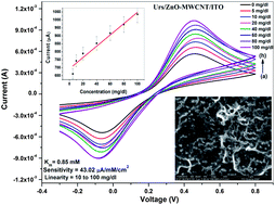 Graphical abstract: Zinc oxide–multiwalled carbon nanotubes hybrid nanocomposite based urea biosensor