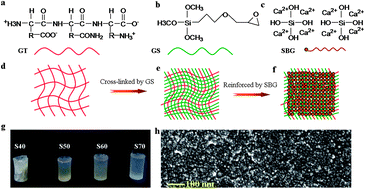 Graphical abstract: Biomimetic and molecular level-based silicate bioactive glass–gelatin hybrid implants for loading-bearing bone fixation and repair