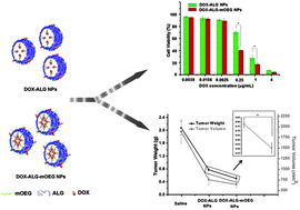 Graphical abstract: Ethylene glycol oligomer modified-sodium alginate for efficiently improving the drug loading and the tumor therapeutic effect