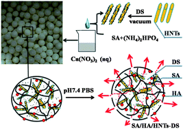 Graphical abstract: In situ generation of sodium alginate/hydroxyapatite/halloysite nanotubes nanocomposite hydrogel beads as drug-controlled release matrices