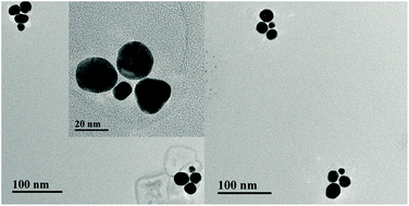 Graphical abstract: Chiral supernanostructures for ultrasensitive endonuclease analysis