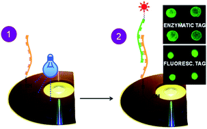Graphical abstract: Photoattachment of thiolated DNA probes on SU-8 spin-coated Blu-ray disk surfaces for biosensing