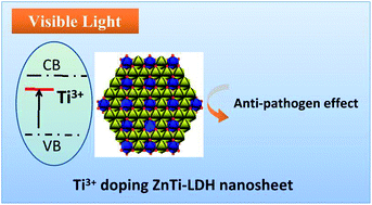 Graphical abstract: Synthesis and antimicrobial activity of ZnTi–layered double hydroxide nanosheets
