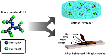 Graphical abstract: Multipurpose heterofunctional dendritic scaffolds as crosslinkers towards functional soft hydrogels and implant adhesives in bone fracture applications