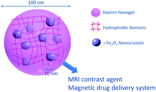 Graphical abstract: New dextrin nanomagnetogels as contrast agents for magnetic resonance imaging
