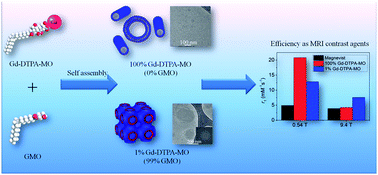Graphical abstract: Nanoassemblies of Gd–DTPA–monooleyl and glycerol monooleate amphiphiles as potential MRI contrast agents