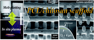 Graphical abstract: Preparation and characterization of multi-layered poly(ε-caprolactone)/chitosan scaffolds fabricated with a combination of melt-plotting/in situ plasma treatment and a coating method for hard tissue regeneration