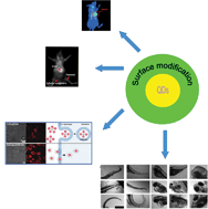 Graphical abstract: The effects of composition and surface chemistry on the toxicity of quantum dots