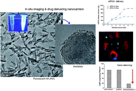 Graphical abstract: Development of biocompatible apatite nanorod-based drug-delivery system with in situ fluorescence imaging capacity