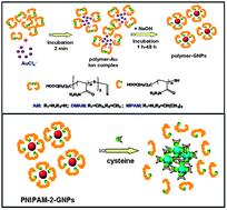 Graphical abstract: A versatile method for the preparation of poly-acrylamide derivative functionalized thermo-responsive gold nanoparticles