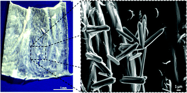 Graphical abstract: An extreme biomimetic approach: hydrothermal synthesis of β-chitin/ZnO nanostructured composites
