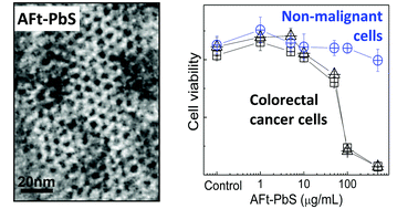 Graphical abstract: Apoferritin-encapsulated PbS quantum dots significantly inhibit growth of colorectal carcinoma cells