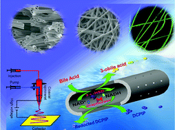 Graphical abstract: Enabling multi-enzyme biocatalysis using coaxial-electrospun hollow nanofibers: redesign of artificial cells