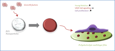 Graphical abstract: Double entrapment of growth factors by nanoparticles loaded into polyelectrolyte multilayer films