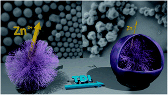 Graphical abstract: Advanced dextran based nanogels for fighting Staphylococcus aureus infections by sustained zinc release