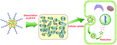 Graphical abstract: Dual endogenous stimuli-responsive polyplex micelles as smart two-step delivery nanocarriers for deep tumor tissue penetration and combating drug resistance of cisplatin