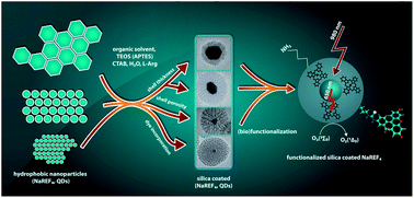 Graphical abstract: A general and versatile procedure for coating of hydrophobic nanocrystals with a thin silica layer enabling facile biofunctionalization and dye incorporation