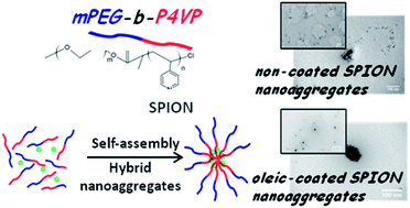 Graphical abstract: Poly(ethylene glycol)-block-poly(4-vinyl pyridine) as a versatile block copolymer to prepare nanoaggregates of superparamagnetic iron oxide nanoparticles