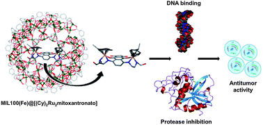 Graphical abstract: Biophysical characterisation, antitumor activity and MOF encapsulation of a half-sandwich ruthenium(ii) mitoxantronato system