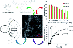 Graphical abstract: Fragmented polymer nanotubes from sonication-induced scission with a thermo-responsive gating system for anti-cancer drug delivery