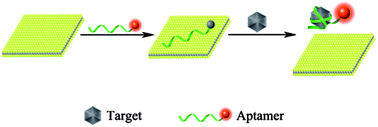 Graphical abstract: A novel aptameric nanobiosensor based on the self-assembled DNA–MoS2 nanosheet architecture for biomolecule detection