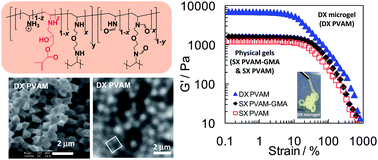 Graphical abstract: Doubly crosslinked poly(vinyl amine) microgels: hydrogels of covalently inter-linked cationic microgel particles