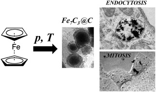 Graphical abstract: Solid state synthesis of carbon-encapsulated iron carbide nanoparticles and their interaction with living cells