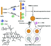 Graphical abstract: A hybrid proteolytic and antibacterial bifunctional film based on amphiphilic carbonaceous conjugates of trypsin and vancomycin