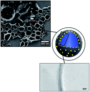 Graphical abstract: Synthesis and antibacterial properties of a hybrid of silver–potato starch nanocapsules by miniemulsion/polyaddition polymerization