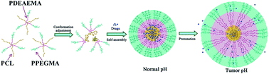 Graphical abstract: Amphiphilic miktoarm star copolymer (PCL)3-(PDEAEMA-b-PPEGMA)3 as pH-sensitive micelles in the delivery of anticancer drug