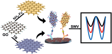 Graphical abstract: Graphene oxide reduced directly by redox probes for multiplexed detection of tumor markers