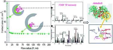 Graphical abstract: Multiscale evaluation of pore curvature effects on protein structure in nanopores