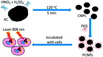 Graphical abstract: PEGylated carbon nanoparticles for efficient in vitro photothermal cancer therapy