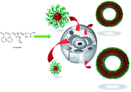 Graphical abstract: Size effects of self-assembled block copolymer spherical micelles and vesicles on cellular uptake in human colon carcinoma cells