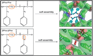 Graphical abstract: Self-assembled dipeptide nanotubes constituted by flexible β-phenylalanine and conformationally constrained α,β-dehydrophenylalanine residues as drug delivery system