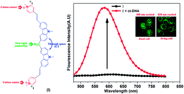 Graphical abstract: Biscarbazolylmethane-based cyanine: a two-photon excited fluorescent probe for DNA and selective cell imaging