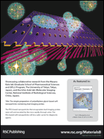 Graphical abstract: Back cover