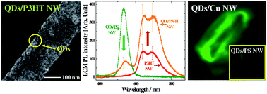 Graphical abstract: Nanoscale luminescence characteristics of CdSe/ZnS quantum dots hybridized with organic and metal nanowires: energy transfer effects