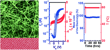 Graphical abstract: Temperature tolerance study of high performance electrochemically gated SnO2 nanowire field-effect transistors